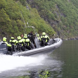 Hylsfjord Safari fra Ryfylke Basecamp