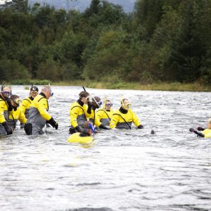 Laksesafari